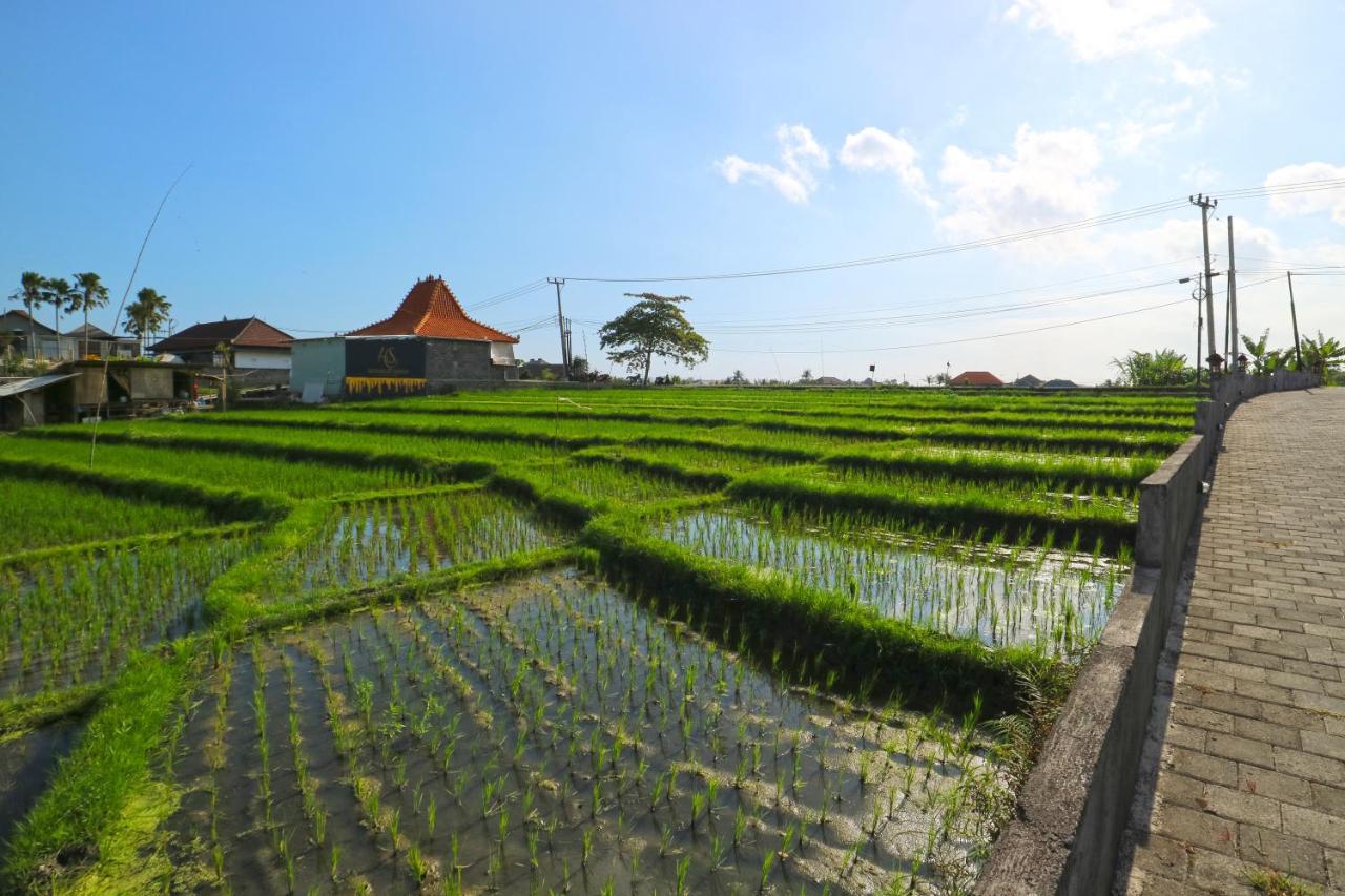Pererenan Nengah Guest House Canggu מראה חיצוני תמונה